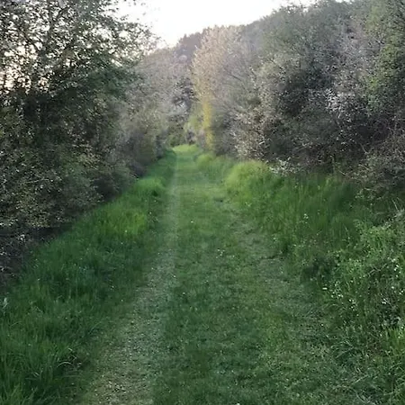 Modernes, Oekologisches Design In Der Eifel Vulkaneifel I 2 Schlafzimmer, Sauna, Yoga & Kaminofen, Schnelles Wlan & Arbeitsplatz Prázdninový dům