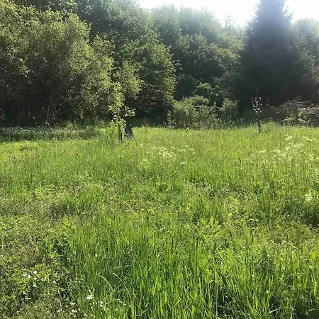 Modernes, Oekologisches Design In Der Eifel Vulkaneifel I 2 Schlafzimmer, Sauna, Yoga & Kaminofen, Schnelles Wlan & Arbeitsplatz Prázdninový dům *