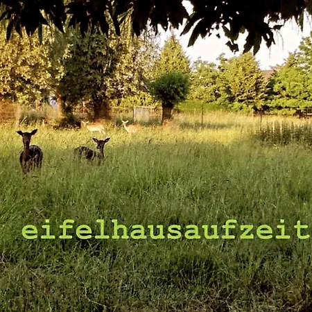 Modernes, Oekologisches Design In Der Eifel Vulkaneifel I 2 Schlafzimmer, Sauna, Yoga & Kaminofen, Schnelles Wlan & Arbeitsplatz