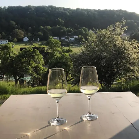 Modernes, Oekologisches Design In Der Eifel Vulkaneifel I 2 Schlafzimmer, Sauna, Yoga & Kaminofen, Schnelles Wlan & Arbeitsplatz Holiday home *