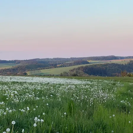 Wellness Design-ferienhaus Mit Sauna & Kamin - Eifel Nyaraló *