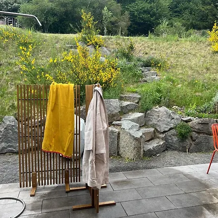 Semesterbostad Und Architektur Eifel - Fuer Wellness Und Yoga - Bio Designhaus Mit Sauna Im Vulkankrater *